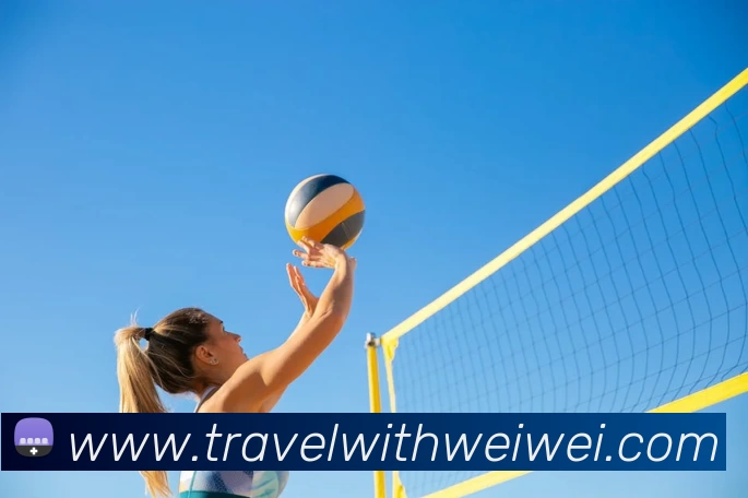 App Interface Preview